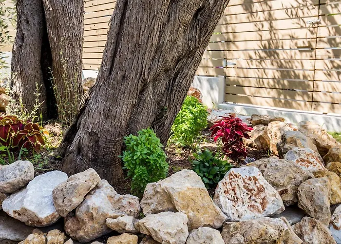 4 Iliopetra 펜션 스칼라소티로스