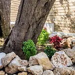 4 Iliopetra 펜션 스칼라소티로스