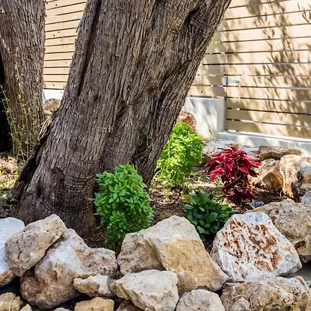 4 Iliopetra Semesterbostad Skala Sotiros